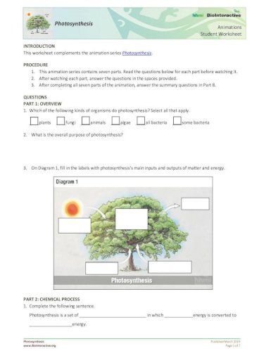 15-photosynthesis-animation-student-worksheet-answers-key-anime-sarahsoriano