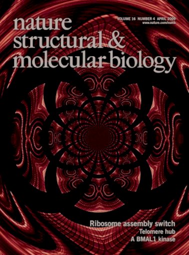 Nature Structural Molecular April - [PDF